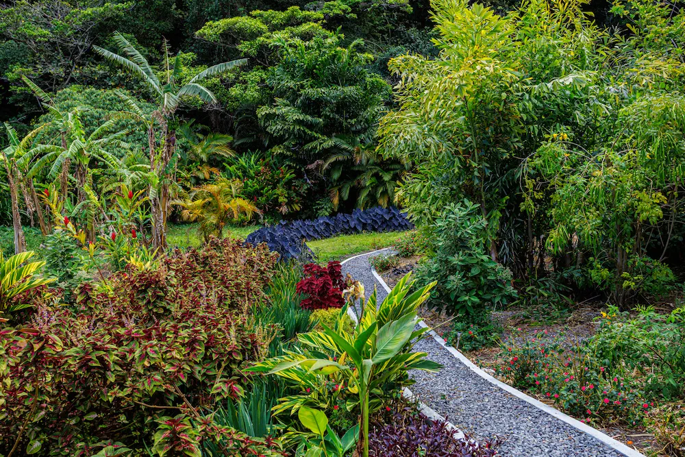 Jardines japoneses, sillas colgantes y el Estudio de The Haven