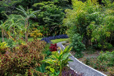 Beautiful Garden